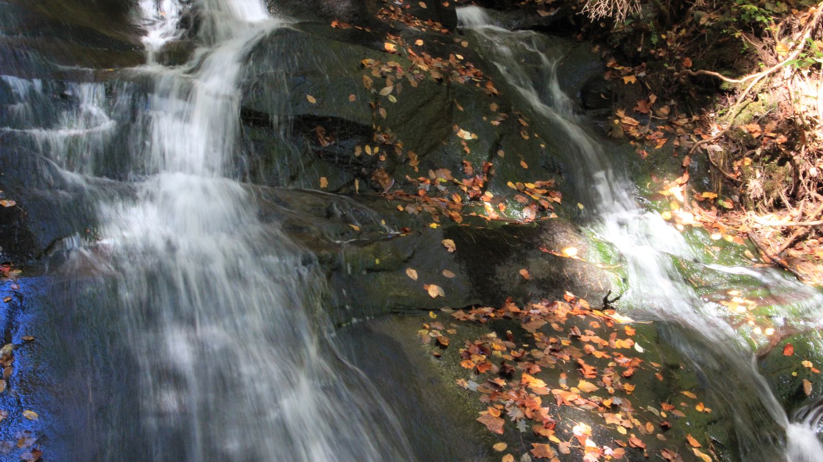 Fall Branch Falls cascading down dark rock past fallen autumn leaves near the Benton MacKaye Trail