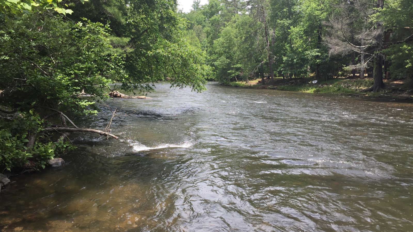 The Toccoa River flowing over shallow riffles between green, wooded banks in Fannin County, Georgia