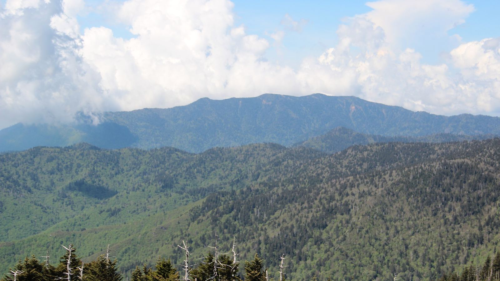 Forested ridges of the Great Smoky Mountains rolling toward Mount Le Conte under summer clouds