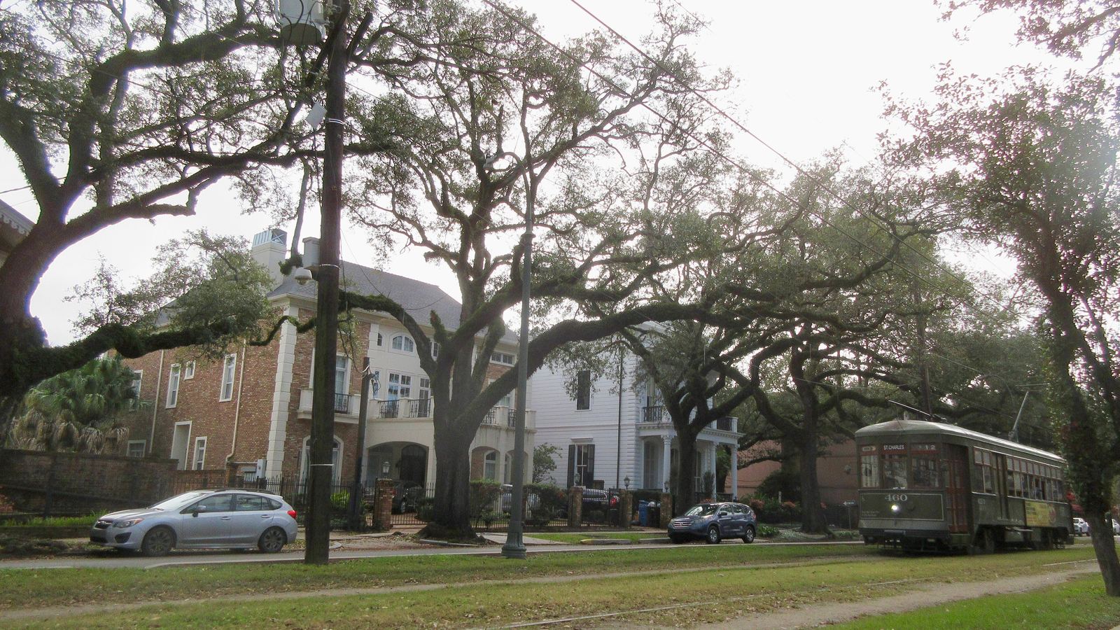 A green St. Charles Avenue streetcar passing under live oaks in Uptown New Orleans